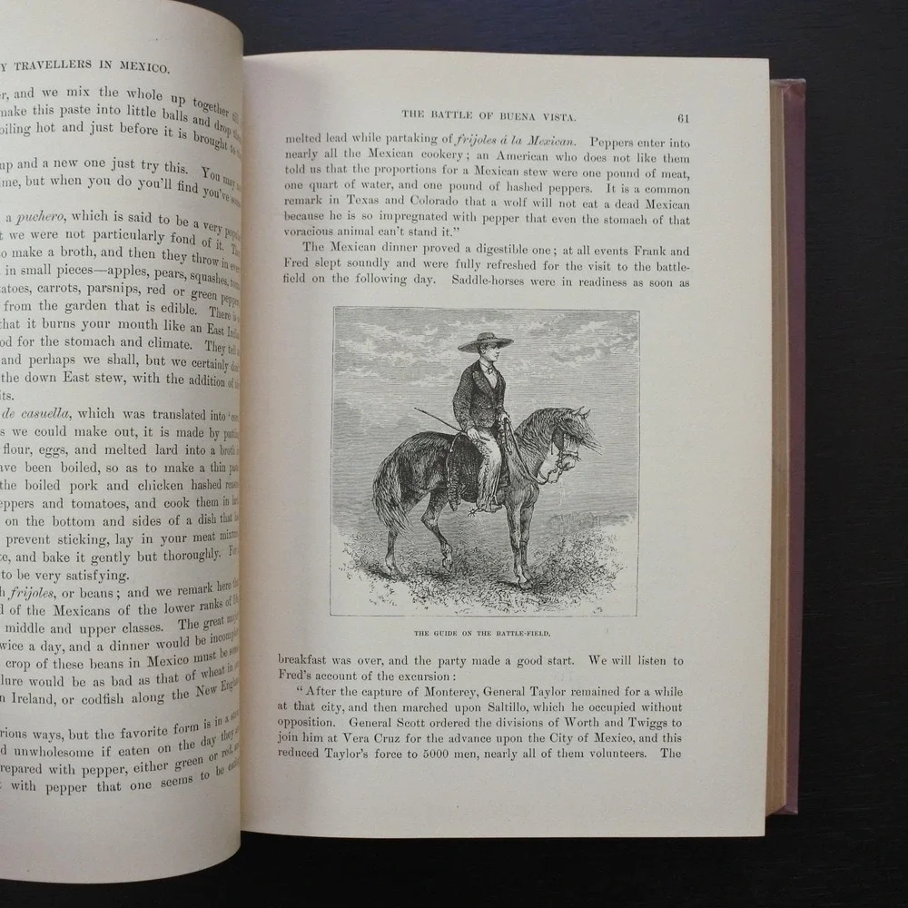 Antique First Edition 1890 Boy Travellers In Mexico by Thomas W. Knox